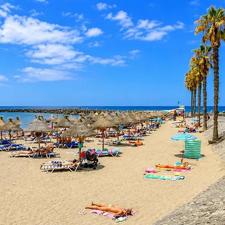 Apartment Lovely In Santa Cruz De Tenerife With Wifi Playa de las Americas (Tenerife)